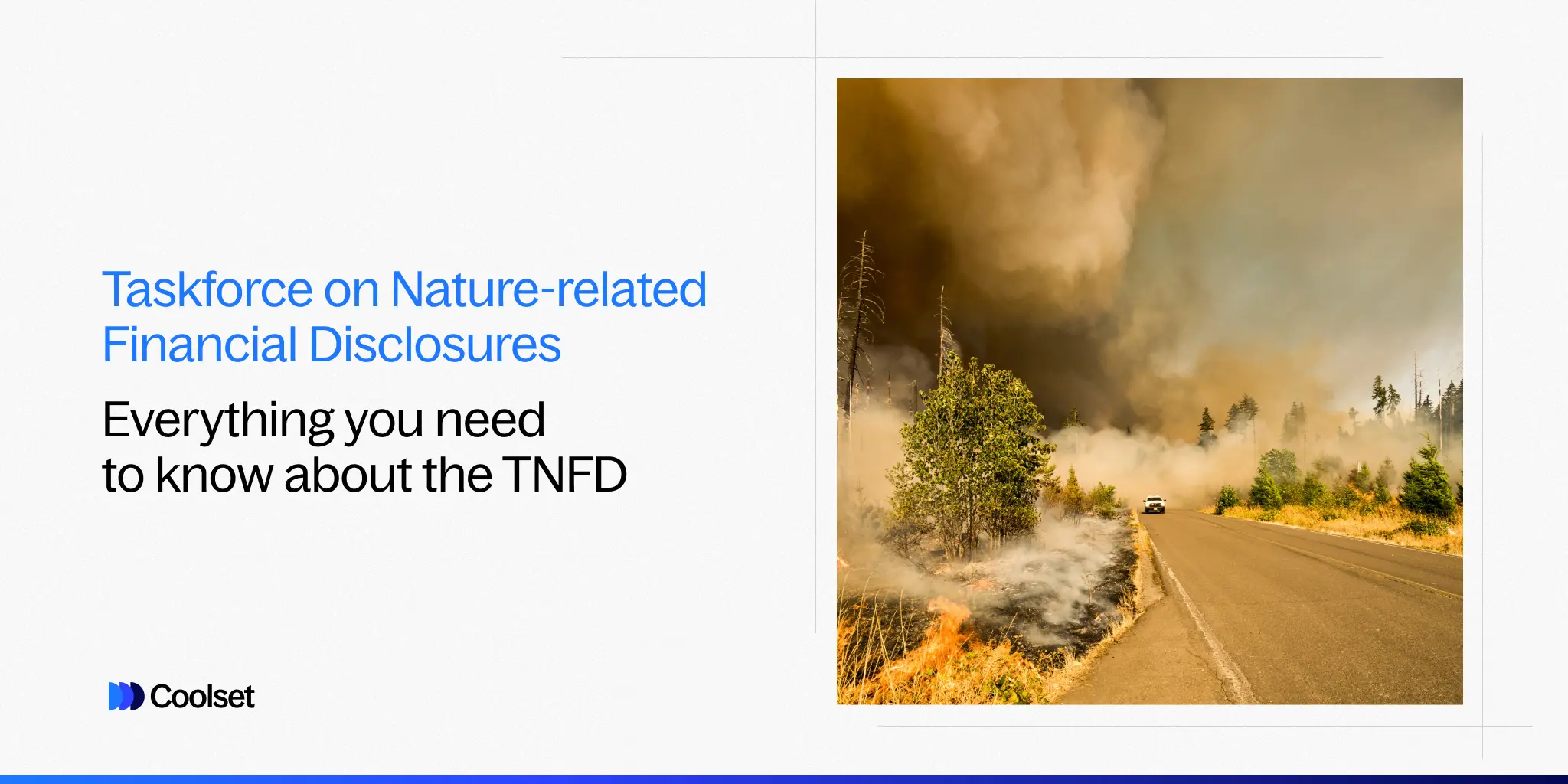 Everything you need to know about the TNFD (Taskforce on NatureRelated Financial Disclosures)